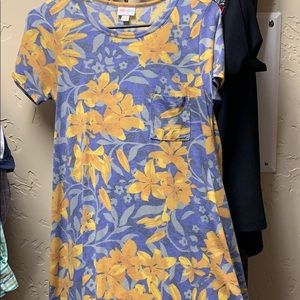 Lularoe XXS Carly.